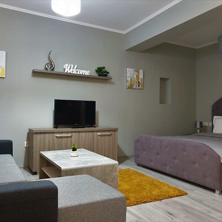 Irina Apartments 티미쇼아라 외부 사진