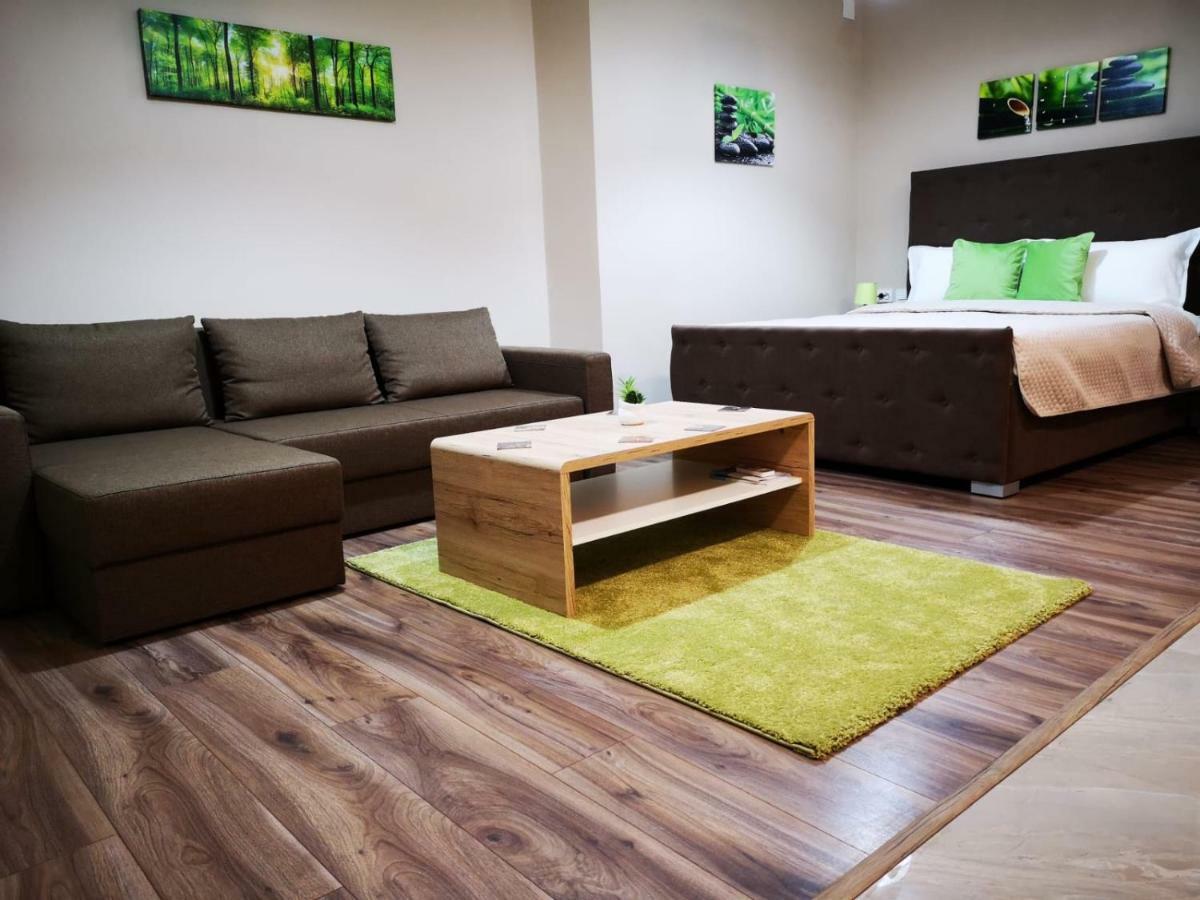 Irina Apartments 티미쇼아라 외부 사진