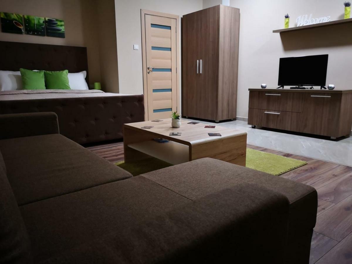 Irina Apartments 티미쇼아라 외부 사진